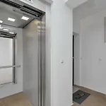Silver Daire